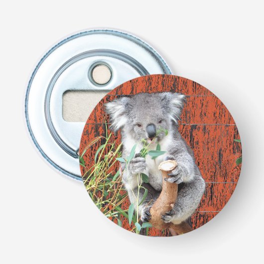 Décapsuleur Ouverture de bouteille Koala Snack Time (Devant)