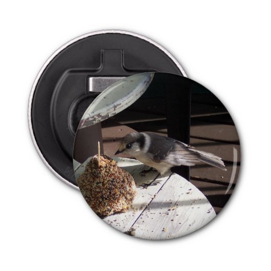 Décapsuleur Ouvreur de bouteille de geai gris et de bouton de (Devant)