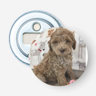 DÉCAPSULEUR **OUVRIER DE BOUTEILLE DOODLE PUPPER**