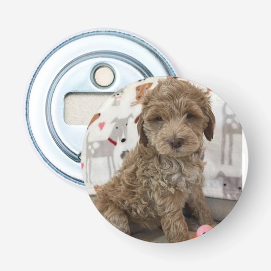 DÉCAPSULEUR **OUVRIER DE BOUTEILLE DOODLE PUPPER** (Devant)