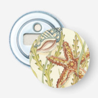 Partie Shell multicolore