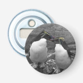 Décapsuleur Penguin Colour Splash (Devant)