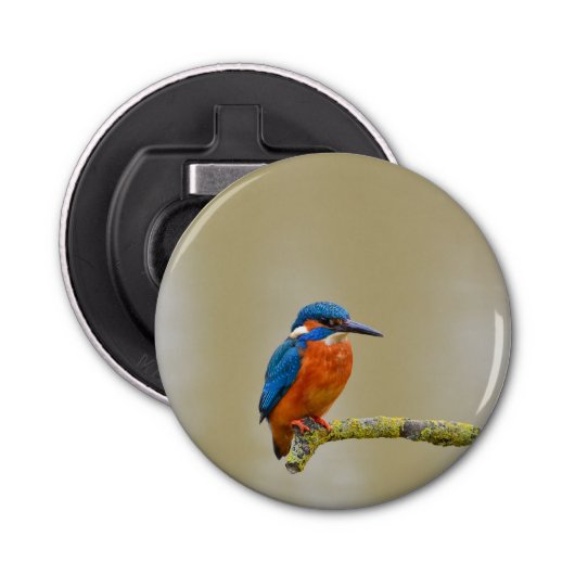 Décapsuleur Perching Kingfisher (Devant)