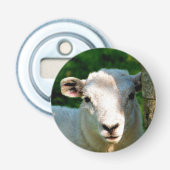 DÉCAPSULEUR PETIT MOQUETTE (Devant)