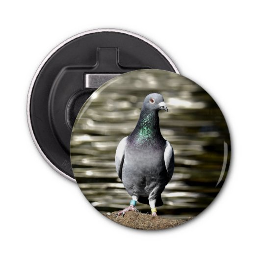 Décapsuleur Pigeon (Devant)