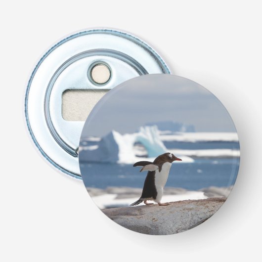 Décapsuleur Pingouin devant une arche de glace (Devant)