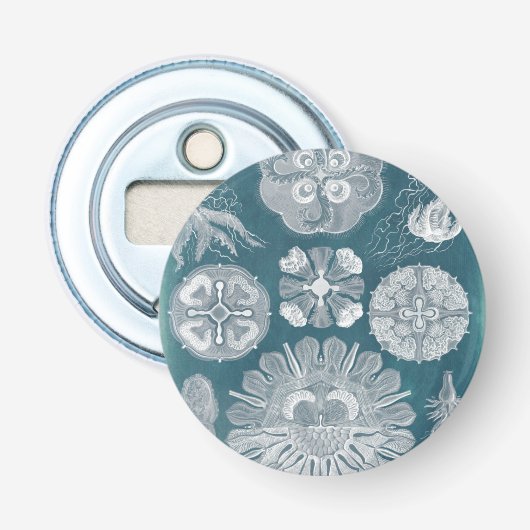 Décapsuleur Plan directeur de la vie marine IV (Devant)