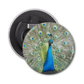 Décapsuleur Plumage bleu Peacock (Devant)