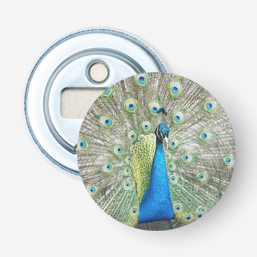 Décapsuleur Plumage bleu Peacock (Devant)