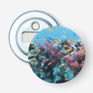 Décapsuleur Poisson orange tropical et corail rose