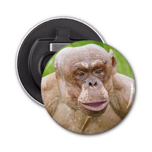 Décapsuleur Porte - clé d'aimant Chimpanzé sans cheveux (Devant)