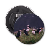 Décapsuleur Puffins de l'Atlantique (Devant)