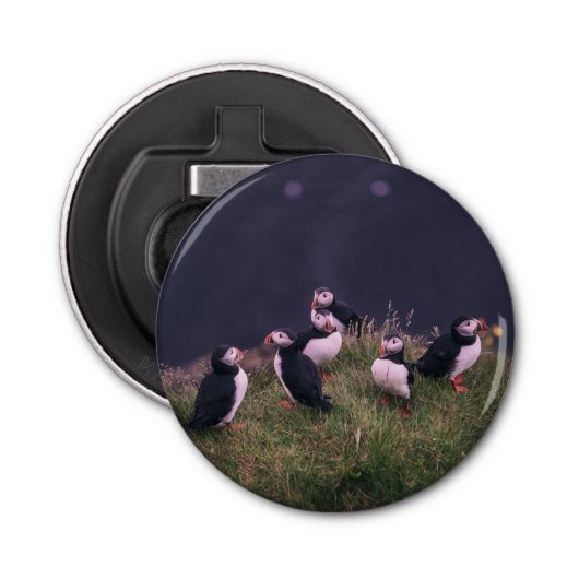 Décapsuleur Puffins de l'Atlantique (Devant)