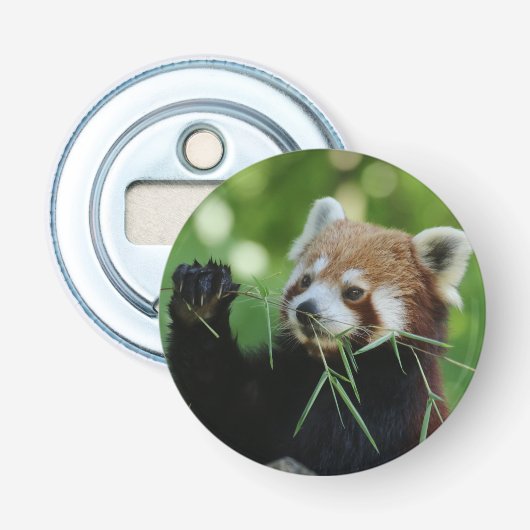 Décapsuleur RedPanda 002 (Devant)