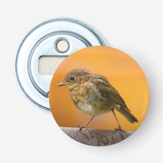 Décapsuleur Robin Bébé Sur Une Branche D'Arbre (Devant)