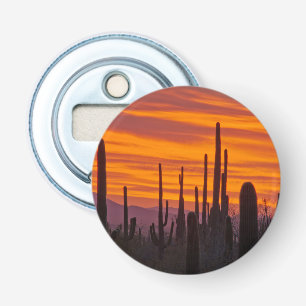 Décapsuleur Saguaro, coucher de soleil, Parc national de Sagua