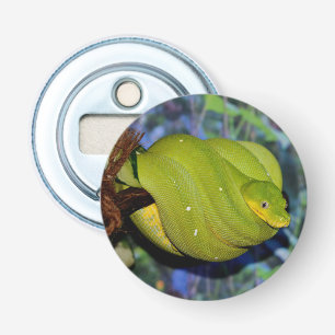 Décapsuleur Serpent de Boa Emerald Tree