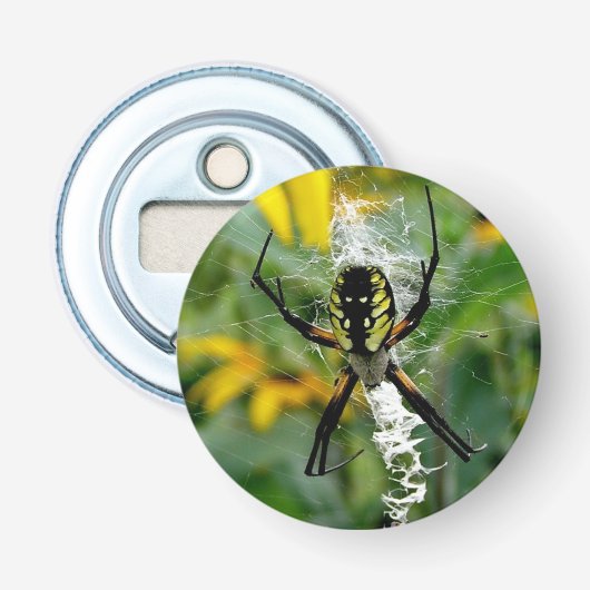 Décapsuleur Superbe araignée de l'Orbe dans sa toile (Devant)