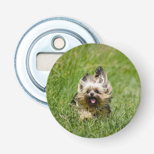 Décapsuleur Terrier Yorkshire mignon Traversant L'Herbe