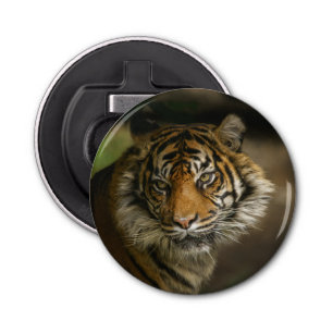 Décapsuleur Tiger Stare