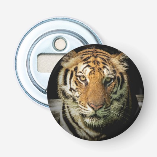 Décapsuleur tigre (Devant)