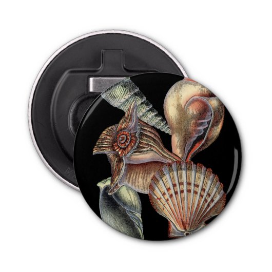 Décapsuleur Trésors de la mer (Devant)