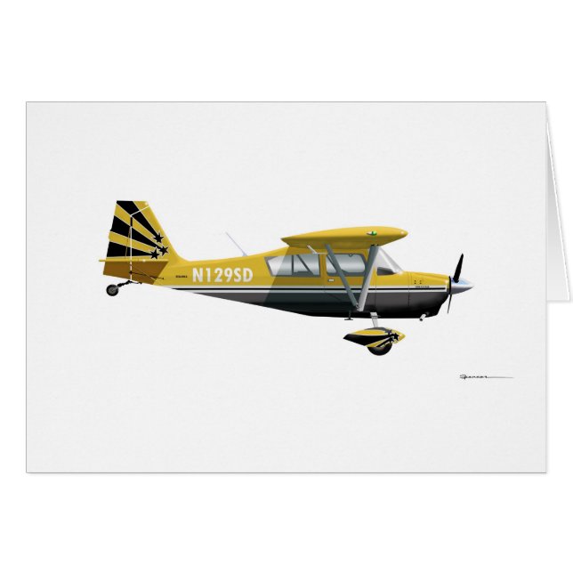 Décathlon superbe de Bellanca (Devant horizontal)