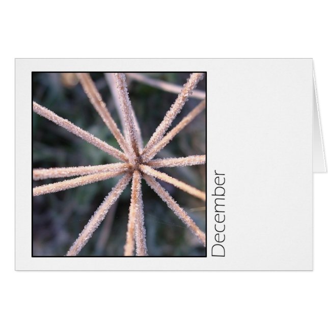 December (Voorkant Horizontaal)