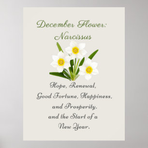 December Geboortemaand Bloem Narcissus Elegant Poster