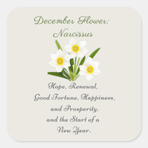 December Geboortemaand Bloem Narcissus Elegant Vierkante Sticker