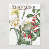 December Maand Bloemen Narcissus Holly Fancy Briefkaart (Voorkant)