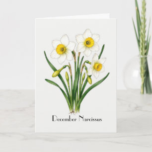 December Narcissus Bloemen Groet Kaart