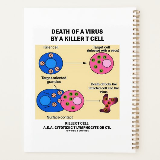 Décès D'Un Virus Par Un Tueur Immunologie Cellulai (Dos)