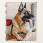 Déchets Allemands Reposés Par Bassin D'Eau (Devant)