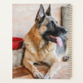 Déchets Allemands Reposés Par Bassin D'Eau (Dos)