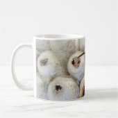 Déchets Émergents De La Mug De Bogue Du Nid (Gauche)