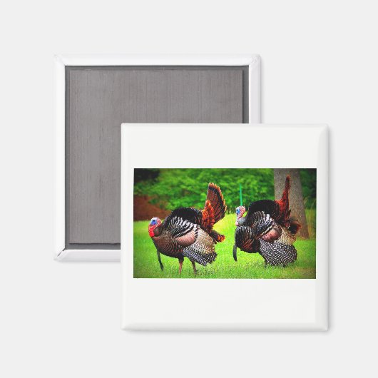 Déchets sauvages Magnet décoré (Recto/Verso)