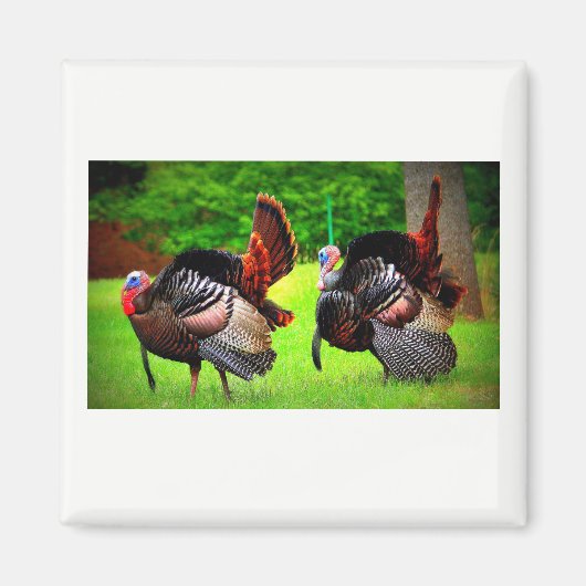 Déchets sauvages Magnet décoré (Devant)