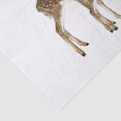 Dechter Tissuepapier (Detail)