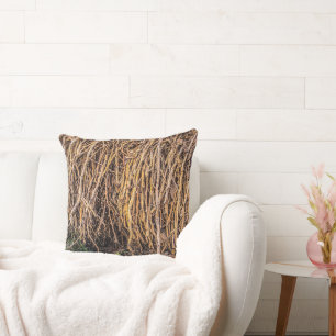 Déclassé 5 dans un oreiller à lancer de série