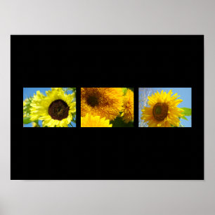 Deco Kunstprints Botanische Bloemige Zonnebloemen Poster