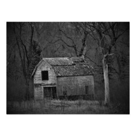 "Decompositie" Foto Afdruk