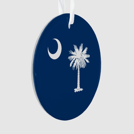 Décor de conception de drapeau d'état de la (devant)