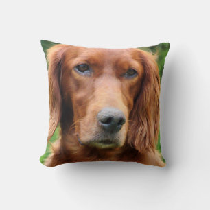 Décor Irlandais Setter Pet Chien Jetant Oreiller D