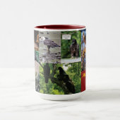 Décorah Eagles 2020 Mug (Centre)