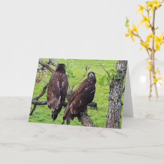 Decorah North Eagles: De aardbeienmoon Kaart (Gele Bloem)