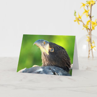 Decorah North Eagles: De bloem Kaart