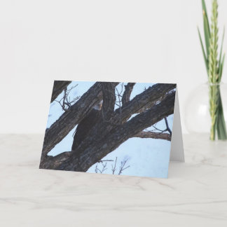 Decorah North Eagles: De Wolf Moon Kaart