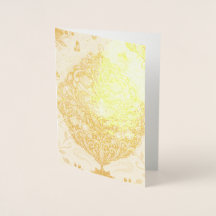 decoratie van schimeria