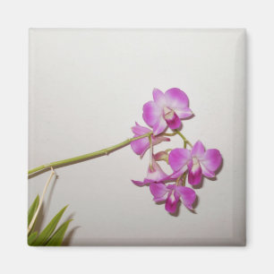  decoratief orchidee Magnet Magneet